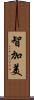 智加美 Scroll