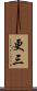 更三 Scroll