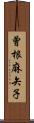 曾根麻矢子 Scroll