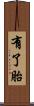 有了胎 Scroll