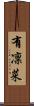 有凜菜 Scroll