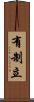 有制立 Scroll