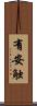 有安触 Scroll