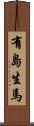 有島生馬 Scroll