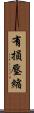 有損壓縮 Scroll