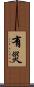 有災 Scroll