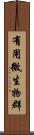 有用微生物群 Scroll