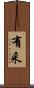 有采 Scroll
