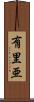 有里亜 Scroll