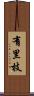 有里枝 Scroll