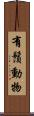 有鬚動物 Scroll