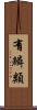 有鱗類 Scroll