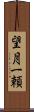 望月一頼 Scroll