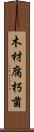 木材腐朽菌 Scroll