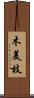 木美枝 Scroll