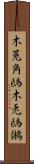 木菟 Scroll