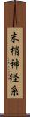 末梢神経系 Scroll