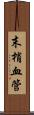 末梢血管 Scroll