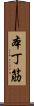 本丁筋 Scroll