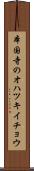 本国寺のオハツキイチョウ Scroll