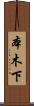 本木下 Scroll