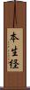 本生経 Scroll