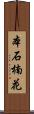 本石楠花 Scroll