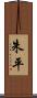 朱平 Scroll