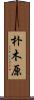 朴木原 Scroll