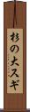 杉の大スギ Scroll