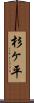 杉ヶ平 Scroll