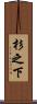 杉之下 Scroll