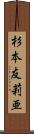 杉本友莉亜 Scroll