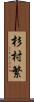 杉村繁 Scroll