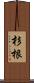 杉根 Scroll