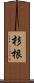 杉根 Scroll