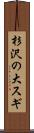 杉沢の大スギ Scroll