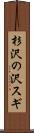 杉沢の沢スギ Scroll