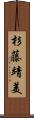 杉藤靖美 Scroll