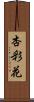 杏彩花 Scroll
