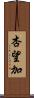 杏望加 Scroll