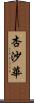 杏沙華 Scroll