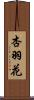 杏羽花 Scroll