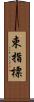 束指標 Scroll