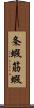 条蝦 Scroll