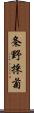 条野採菊 Scroll