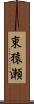 東猿瀬 Scroll