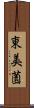 東美薗 Scroll