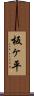 板ヶ平 Scroll