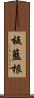 板藍根 Scroll